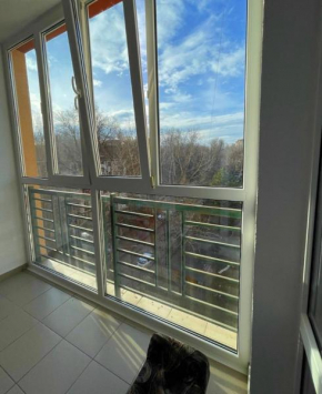 Luxury and comfortable apartment